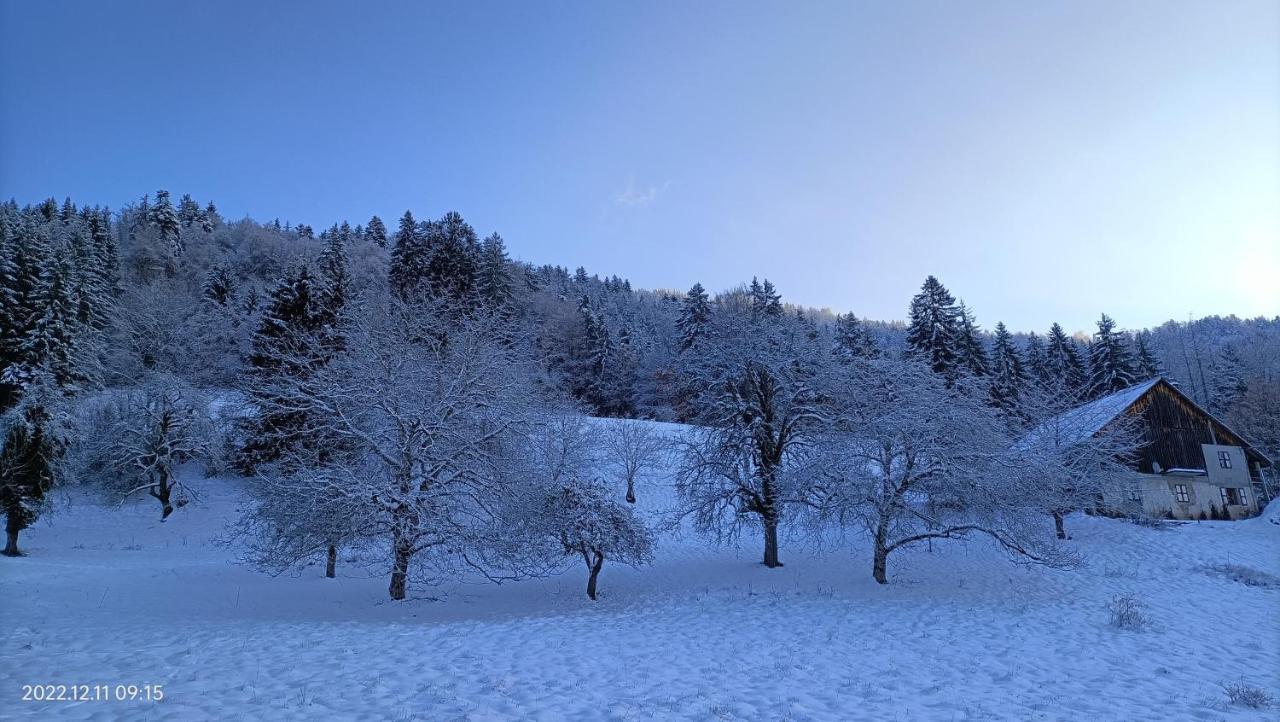 Gite Coeur De Haute-Savoie Viuz-en-Sallaz Bagian luar foto