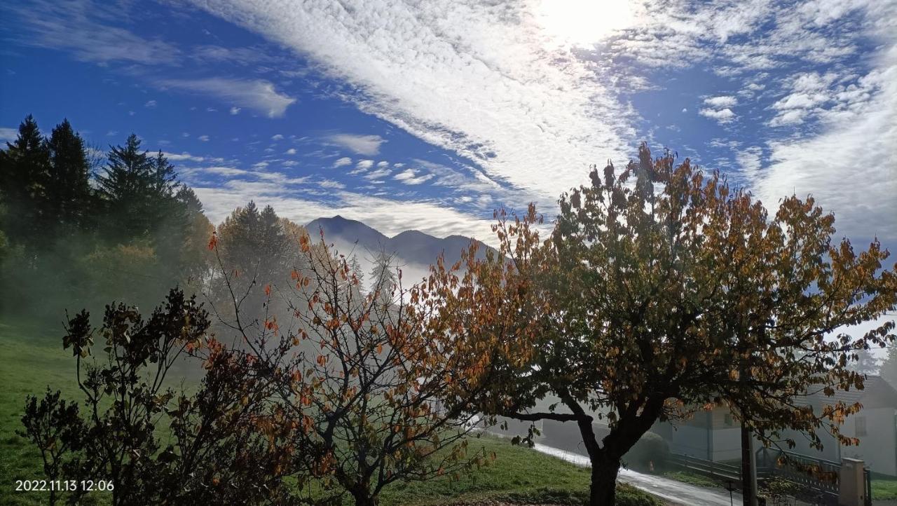 Gite Coeur De Haute-Savoie Viuz-en-Sallaz Bagian luar foto