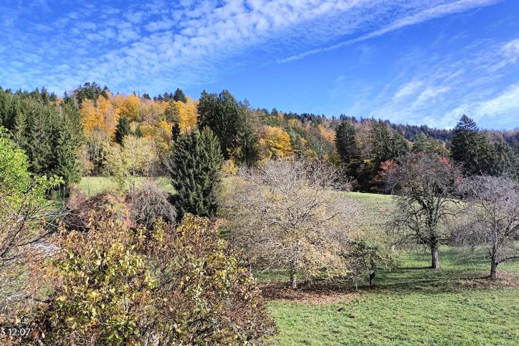 Gite Coeur De Haute-Savoie Viuz-en-Sallaz Bagian luar foto